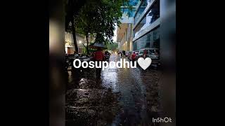 Oosupodhu | @VaishnaviFulsundar | #fidaa #fidaamovie #oosupodhu #saipallavi #varuntej