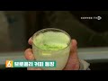 【커피 tv】 6월 둘째주 주간커피뉴스