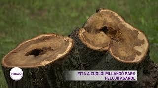 Vita a zuglói Pillangó park felújításáról