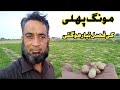 Bike Py Vlog Bnany Ka Alag Hi Maza Ha | MongPhali Ki Fasal Tyar Hony Wali  @YouKhani