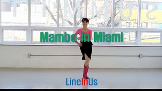 [초급]  Mambo in Miami Line Dance (Dance) [Lineinus]