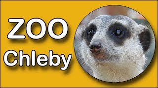 Zoo Chleby 2018 (Full HD)