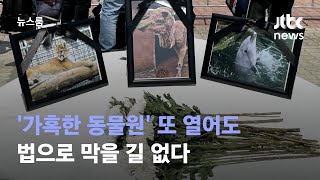 최소한의 생명윤리 외면한 '가혹한 동물원' 또 열어도… / JTBC 뉴스룸