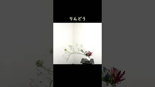 【秋の生け花 のいばらとりんどう】 初心者でもコツが分かればとっても簡単！ 生け方の基本をサクッと紹介。 ikebana style class Japanese flower arrangement