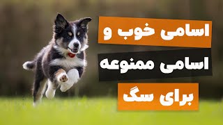 ❌✅رمز و راز موفقیت تو اسم گذاشتن برای سگ