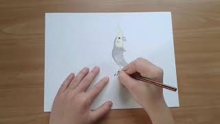 dessin calopsite facile - dessin fortnite gentil maraudeur