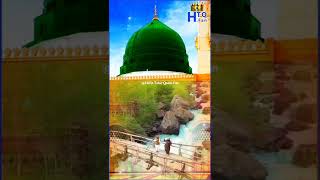 Mere Dil Se ﷺ/Status Video Ringtone/Hafiz Tahir Qadri/#shorts #viral #share #subscribe #short #reel