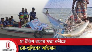 মা ইলিশ রক্ষায় পদ্মা নদীতে নৌ-পুলিশের অভিযান | Hilsa | Independent TV