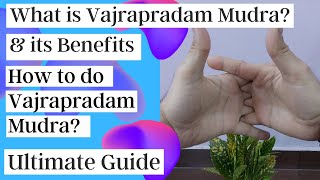 What is Vajrapradam Mudra and its Benefits| How to do Vajrapradam Mudra| Ultimate Guide