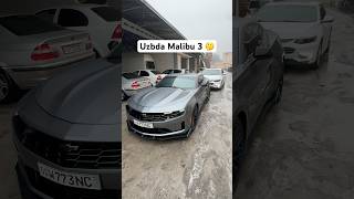 Uzbda Malibu 3