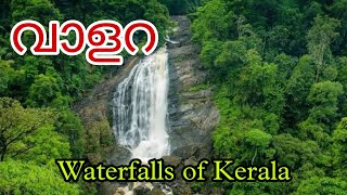 വാളറ Valara waterfalls ..#chasing the monsoon 🌧️🌧️🌧️ #waterfalls  #waterfallsinkerala