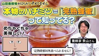 【はちみつナメてません】養蜂家は知っている！本当に美味しいハチミツは完熟蜂蜜だった！！｜山田養蜂場