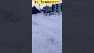 【北海道旭川市】雪モードの旭川市のお昼時の様子☃️ 現在の気温-2°❄️ #ninjya #shorts #旭川市 #景色 #hokkaid #北海道 #雪 #大雪