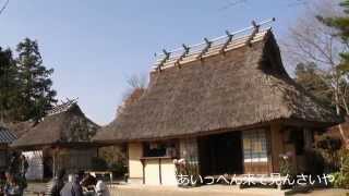 四季桜とモミジのコラボ(花の山寺・普門寺)