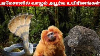 அமேசான் காட்டில் வாழும் ஆபூர்வ உயிரினங்கள்|Unbelievable Animals in Amazon Forest