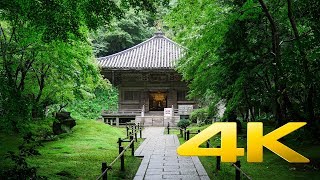 Entsuin Temple - Miyagi - 円通院 - 4K Ultra HD