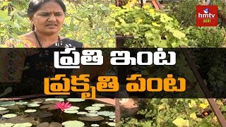 సేంద్రియ పద్దతిలో ఇంటిపంట | Organic Terrace Gardening by Usha Rani | hmtv Agri