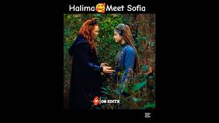 Halima🥰Secret❣️Meet😥Sofia☠️||Halima🥰Love❣️Bala #viralvideo#shorts