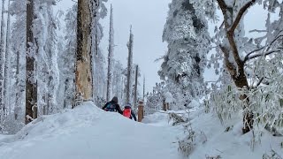 2020年的最后一天，我们去了瓦屋山看雪❄️