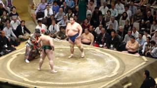 Sadanoumi (4-2) - Ozeki Kotoshogiku (4-2) , Sumo : Natsubasho '15