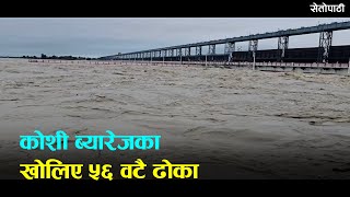 कोशी ब्यारेजका खोलिए ५६ वटै ढोका ||Koshi barrage||