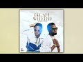 ding dong konshens dream weekend official audio