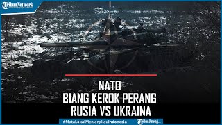 China Salahkan NATO Biang Kerok Perang Rusia vs Ukraina
