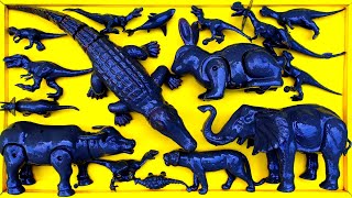 🔴Clean Up Muddy Dinosaur Animals❗T-rex, Velociraptor, Carnotaurus, Tryceratops,