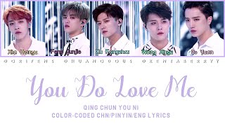 QING CHUN YOU NI - YOU DO LOVE ME (你是爱我的) [COLOR CODED CHINESE/PINYIN/ENG LYRICS]