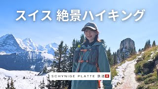 【スイス旅行】アイガー/メンヒ/ユングフラウ‼︎山岳鉄道に乗って絶景ハイキングしてきた〜schynige  platte鉄道〜