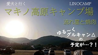 【犬連れ夫婦キャンプ】愛犬と行くマキノ高原キャンプ場/テント崩壊寸前キャンプ