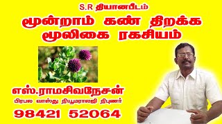 மூன்றாம் கண் திறக்க மூலிகை ரகசியம்