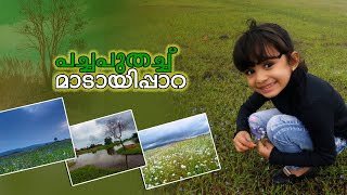 പച്ചപുതച്ച് മാടായിപ്പാറ   | MALAYALAM KIDS VLOG | MICHUS | MADAYIPPARA| KANNUR | KERALA TOURISM