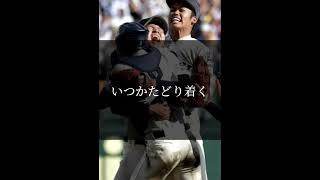 高校野球甲子園