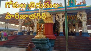 Gokula tirumala parijathagiri @Arunaswathislittleworld