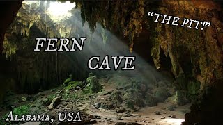 The Fern Cave Disaster // Cave Exploring Gone Wrong… ☠️Scary Stories☠️