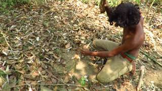 Primitive Technology   shoot cobra snake by catapult   cooking wild snake eating delicious