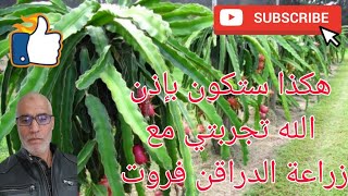 #Fruitexo أسهل طريقة لزراعة دراقن فروت في الأرض المستديمة