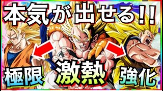 【ドッカンバトル】長すぎた500日！！『やっと本気出せる』この3体に注目【Dragon Ball Z Dokkan Battle】【地球育ちのげるし】