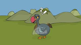 Dodo Does Math Trailer - CodeMonkey