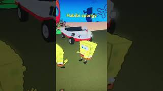 Habibi spongy