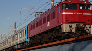 【配給輸送】配9645レ 新津配給 EF81-134+E131系1000番台T3編成 鶴見川橋梁通過