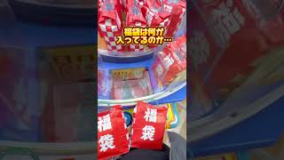 【福袋調査】ゲーセンの福袋狙ってみた結果…#クレーンゲーム #ゲーセン #クレーンゲーム #福袋