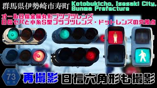 【信号機】群馬県伊勢崎市寿町 オール日信金属丸形ブツブツレンズ・日信セパと小糸S型ブツブツレンズ・ドットレンズの交差点