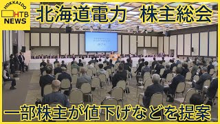 一部株主が電気料金の値下げや原子力事業の廃止を提案…北海道電力株主総会で質疑応答続く　札幌市