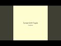 Sunset Drift Fragile