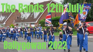 The Bands Ballygowan 12th July 2022 True Blues