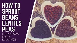 HOW TO SPROUT BEANS || LENTILS AND PEAS || VEGAN RAW FOOD