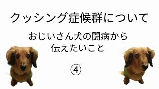 クッシング症候群について。④　クッシング症候群と闘った日々からわかったこと。気づいたことです。　セカンド・オピニオンについて。