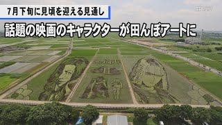 水田に現れた「翔んで埼玉」　世界最大の田んぼアート、行田